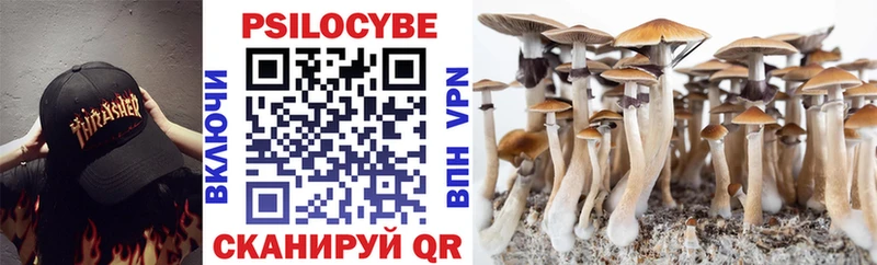 где купить Гаджиево Галлюциногенные грибы мицелий